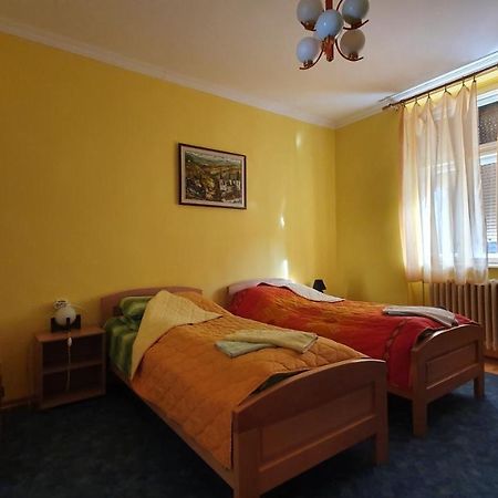 Apartment Roxana Νόβι Σαντ Εξωτερικό φωτογραφία
