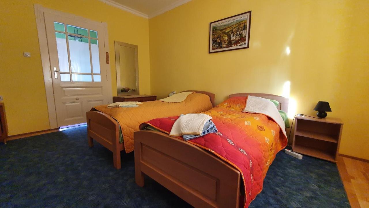 Apartment Roxana Νόβι Σαντ Εξωτερικό φωτογραφία